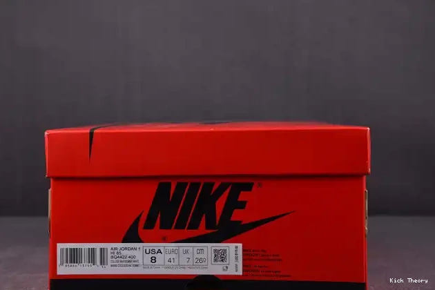 Kicktheory 85 Air BQ4422-400 1 High Georgetown Jordan 0501